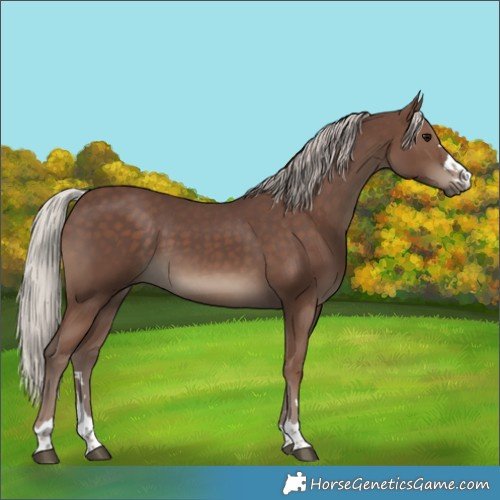 Horse Color:Silver Black 