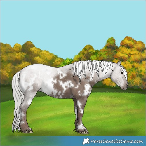 Horse Color:White Spotted Silver Grullo Mushroom 