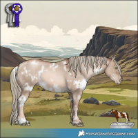 Horse Color:White Spotted Liver Red Dun Pearl Mushroom 