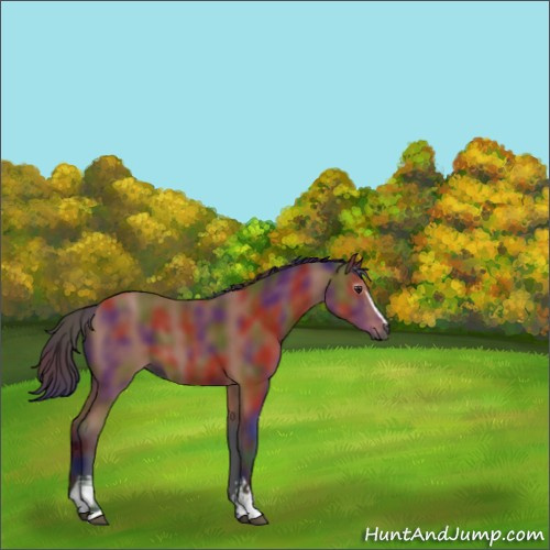 Horse Color:Gray Nacre White Spotted Brown 