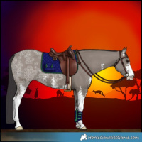 Horse Color:Smoky Grullo Ice Sabino 