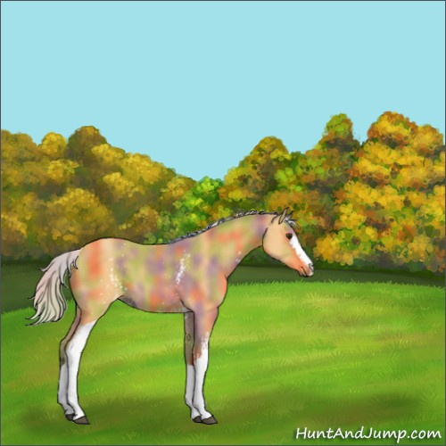 Horse Color:Nacre White Spotted Silver Buckskin 