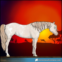 Horse Color:White Spotted Smoky Creme Ice Dun 