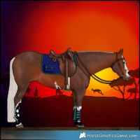 Horse Color:White Spotted Silver Brown