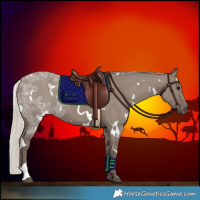 Horse Color:White Spotted Silver Grullo Ice 