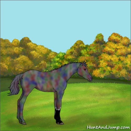 Horse Color:Nacre Brown 