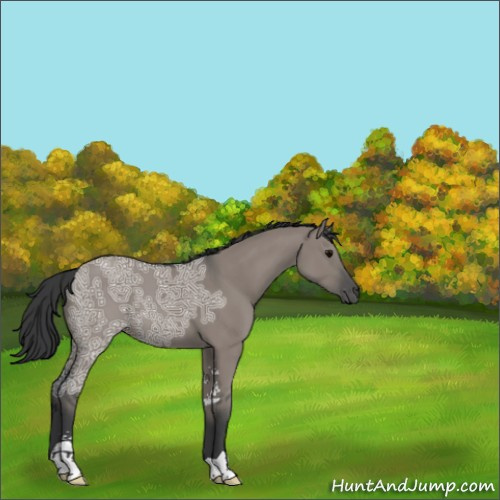 Horse Color:Grullo Ice Sabino 