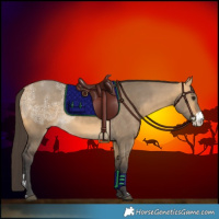 Horse Color:Buckskin Ice Dun Sabino 