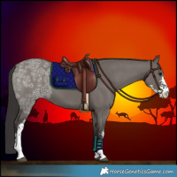 Horse Color:Smoky Grullo Ice Sabino 