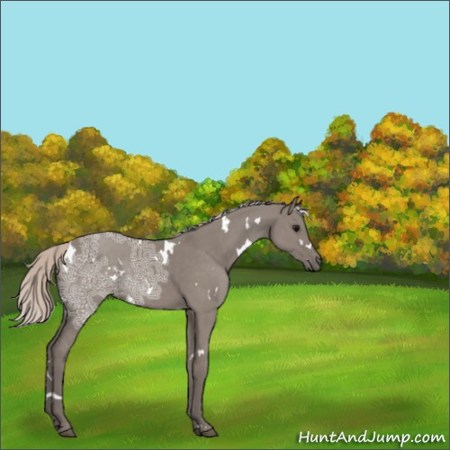 Horse Color:White Spotted Silver Grullo Ice 
