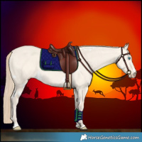 Horse Color:White Spotted Perlino Dun 