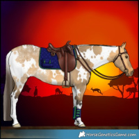 Horse Color:White Spotted Buckskin Ice Dun 
