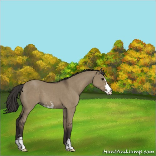 Horse Color:Smoky Grullo Sabino 