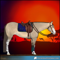 Horse Color:Buckskin Dun Sabino 