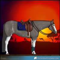 Horse Color:White Spotted Smoky Grullo 