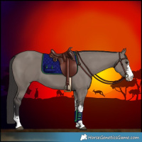 Horse Color:Smoky Grullo Sabino 