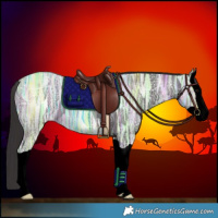 Horse Color:Void Smoky Black Ice Splash 