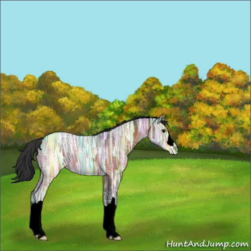 Horse Color:Void Bay Ice 
