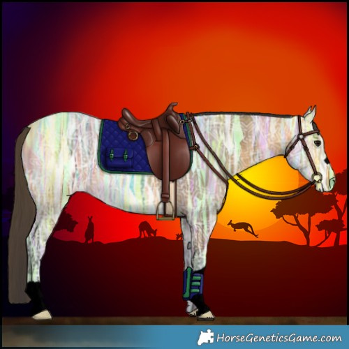 Horse Color:Void Buckskin Ice 