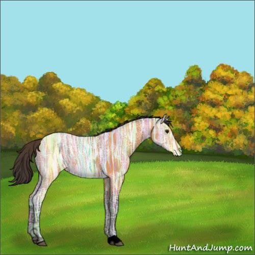 Horse Color:Void Buckskin Ice 