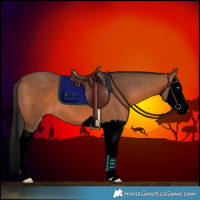 Horse Color:Void Bay Splash 