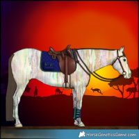Horse Color:Buckskin Ice 