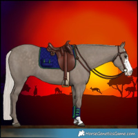 Horse Color:Silver Grullo Sabino 