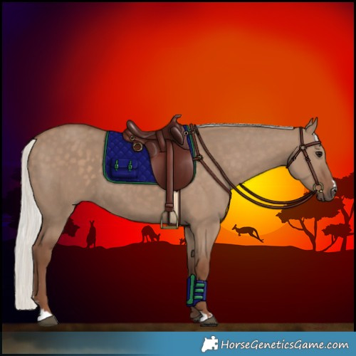 Horse Color:Silver Grullo Sabino 