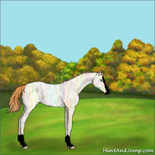 Horse Color:Void Buckskin Ice Pearl Sabino Splash 