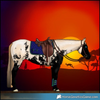 Horse Color:Void Buckskin Pearl Sabino Splash 