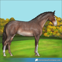 Horse Color:Liver Red Roan Sabino