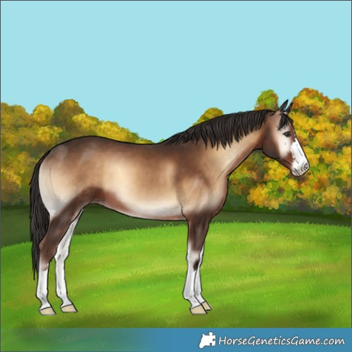 Horse Color:Liver Red Onyx 