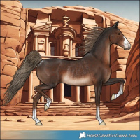 Horse Color:Liver Chestnut Rabicano