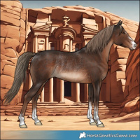 Horse Color:Liver Chestnut Rabicano 