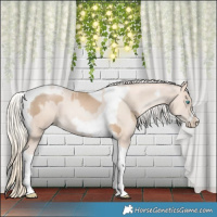Horse Color:Chocolate Palomino Pearl Tobiano Frame  and Gold Cream Champagne Pearl Tobiano Frame 