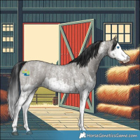 Horse Color:Grullo Roan Sabino Splash  and Grullo Roan Sabino Splash 