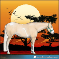Horse Color:Silver Smoky Black Pearl Sabino Tobiano