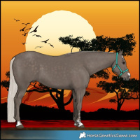 Horse Color:Silver Black 