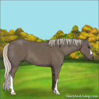 Horse Color:Silver Black 