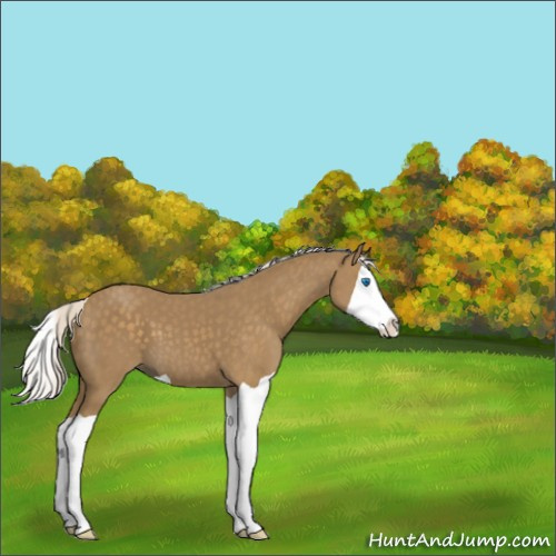 Horse Color:Silver Smoky Black Splash 