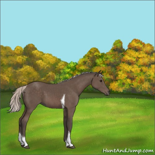 Horse Color:Silver Black Tobiano 
