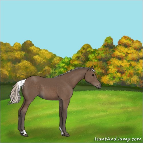 Horse Color:Silver Black Tobiano 