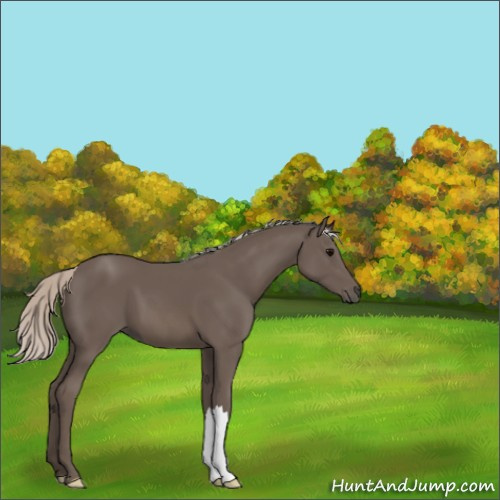 Horse Color:Silver Black 