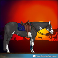 Horse Color:Smoky Black Sabino 