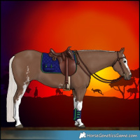 Horse Color:White Spotted Silver Black