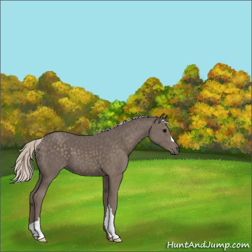 Horse Color:Silver Black 