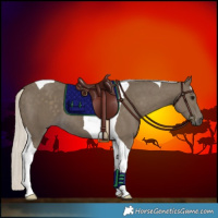 Horse Color:Silver Smoky Black Tobiano 