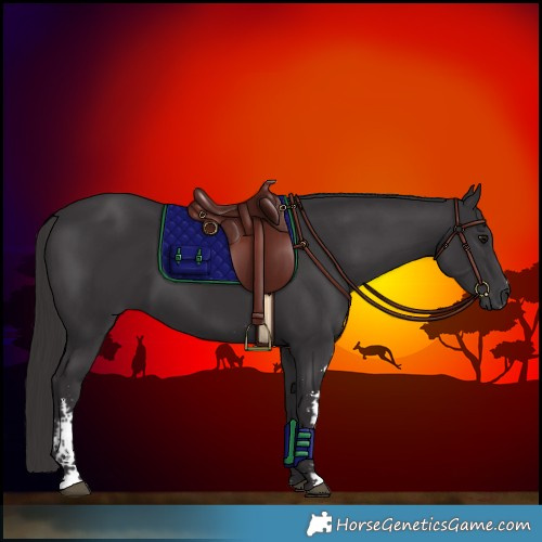 Horse Color:Smoky Black Sabino 