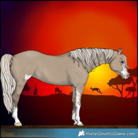 Horse Color:Silver Grullo Sabino 