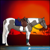 Horse Color:Silver Smoky Black Tobiano 